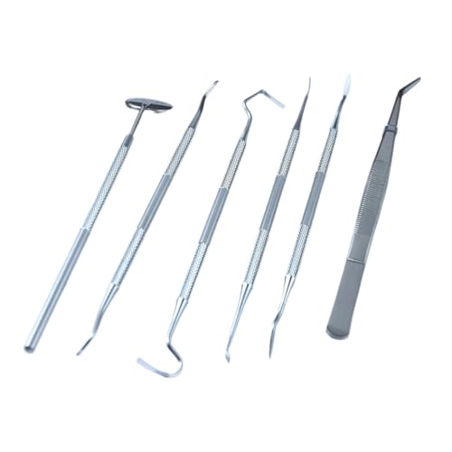 6 herramientas de limpieza dental de acero inoxidable, juego de cuidado dental portátil for el hogar, reutilizable for hombres, mujeres, adultos y mascotas.(1set-6pcs(box))