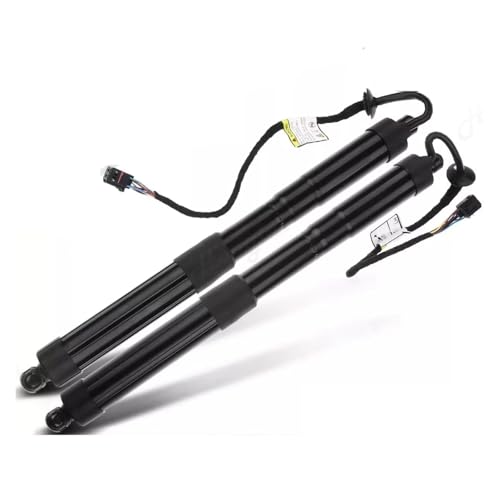 Ressort à gaz hayon haut de gamme pour Hyundai Santa Fe F16 paire OEM