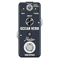[DIVERSE REVERB OPTIONS] Choose between Room, Spring, and Shimmer modes to enhance your sound with unique reverb effects. [ADJUSTABLE DEPTH AND CHARACTER] Tailor your reverb effects with a wide adjustable range suitable for any musical style or setti...