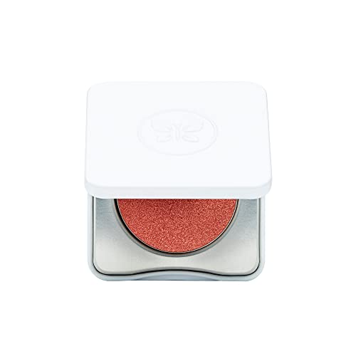 Honest Beauty Talc-Free Lit Powder Blush | Pearl Infused, Velvety Finish | Ewg Verified, Organic, Vegan + Cruelty Free | Foxy, .14 Oz #TOP24