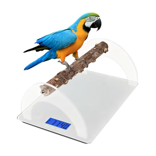Image of Parrot Training Weight Scale, Accurate Bird Measure Accessories with Perch for Macaw Cockatiel, Range 1G - 5000G