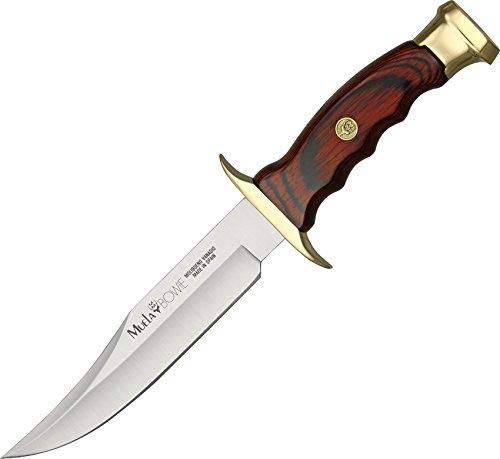 Muela Cuchillo de caza BW-16 con hoja de acero inoxidable ACX-380 de 16 cm y empuñadura de madera de coral para Caza, Pesca, Supervivencia y Bushcraft + Portabotellas de regalo