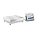 Radwag HY 10.120.HRP.H High Resolution Scales, 120kg Cap, 0.5g Readability