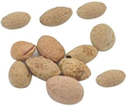 Miniatura 2 de 10 semillas japonesas de bonsái de flor de cerezo - Semillas de bonsái Sakura en flor