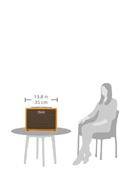 Fender Monterey Tweed : Amazon.sg: Electronics