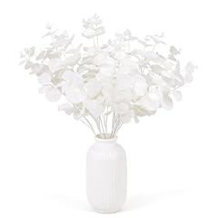 White - Eucalyptus Stems