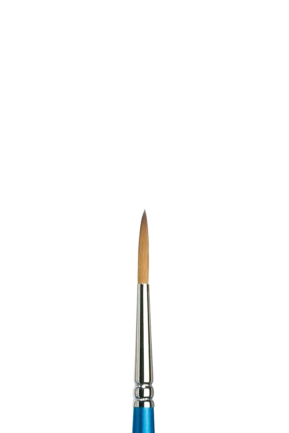 Winsor & Newton Brush, Wood, Transparent, no. 5 - 3 mm, round - Designers - brush, short handle