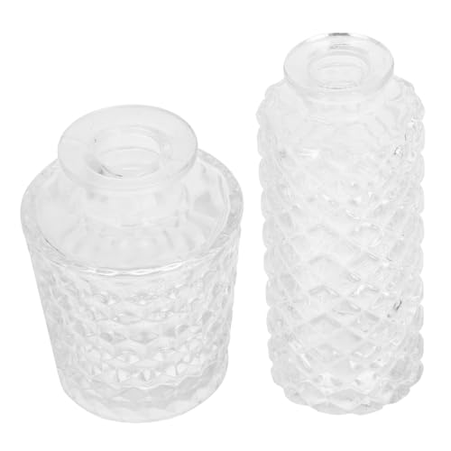 NOLITOY 2 Piezas Jarrones de Vidrio Transparente con Diseño y Panal Decoración Ornamental para Hogar Regalo Creativo y Práctico