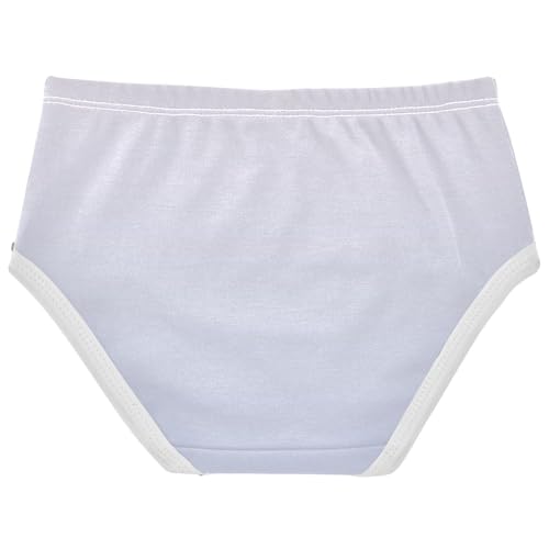 Joisal Artistic Girls Underwear Toddlers 2t Cotton Little Girl Panties Ombre Powder Blue Gradient Briefs Kids Undies2