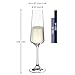 LEONARDO HOME Paladino Sekt-Gläser, 6er Set, Spülmaschinenfeste Prosecco-Kelche Mit Gezogenem Stiel, Champagner-Gläser, 220 ml, 066309