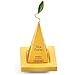 Tea Forte Paradis 3-Piece Premium Tea Gift Set with Mango Yellow Cafe Cup with Lid, Tea Tray and 10 Assorted 2 of Each Variety Organic Handcrafted Pyramid Infuser Tea Bags