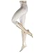 ESPRIT Cotton Capri W CA Leggings, Blanc (White 2000), S (36-38) Femme