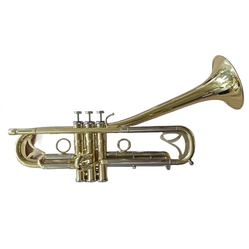 �v���̃g�����y�b�g Bb �g�����y�b�g B �t���b�g�^�J�⃁�b�L�v���t�F�b�V���i���g�����y�b�g�y�탌�U�[�P�[�X�^�C�v Bb �̃`���[�j���O�L�[