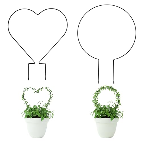 Hufopik Trellis for Potted Plants, Small House Plant Support, Indoor Plant Trellis...