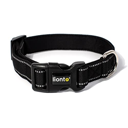 lionto Hundehalsband gepolstert Halsband Nylon reflektierend wasserfest verstellbar, Größe XL, schwarz