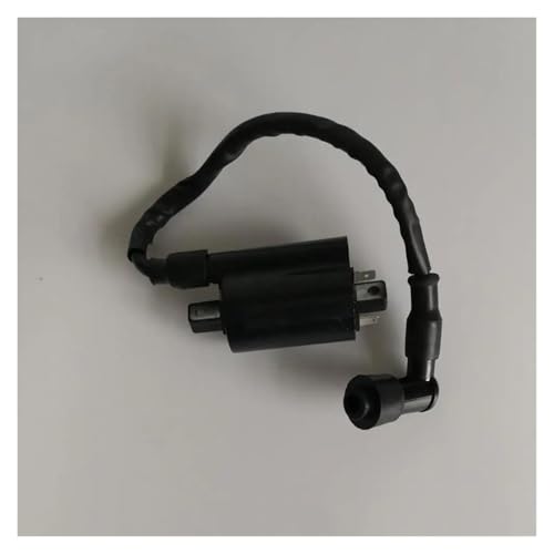 Bobine d'allumage pour rouler serein en Virago XV250 et Cruiser Vento