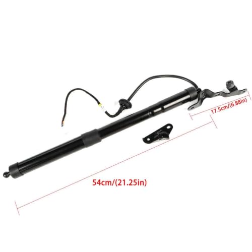 Support de levage pour hayon de coffre électrique de votre RAV4
