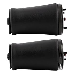 DZWDY Luftfederung Hinten E39 2 Stück