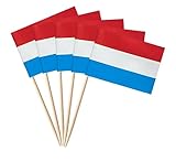 stidsds Luxemburg-Flagge, Luxemburger-Zahnstocher, Mini-Flaggen, Luxemburg, Cupcake-Topper, Stick-Flaggen, Banner, Party, Cocktail, Obstdekoration, 100 Stück