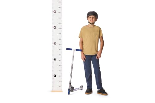 Razor A Model Classic Kick Scooter