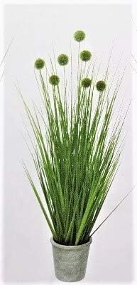 Amazon 人工観葉植物 ポンポングラス 人工観葉植物 オンライン通販