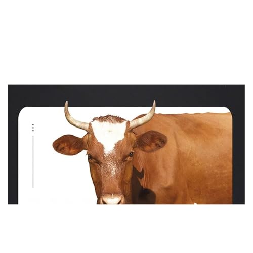 Funda de cuero genuino para asiento de coche con diseño convexo 3D y cojín transpirable marrón 3