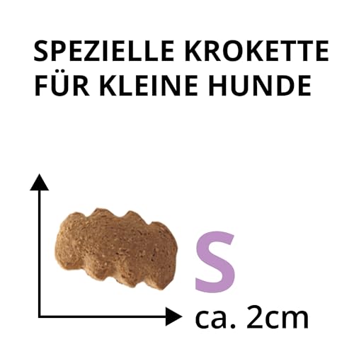 Breed Selection Adult S 2,5 kg |Getreidefreies Trockenfutter | Monoprotein | von Tierärzten entwickelt | Hundefutter mit extre viel Rind | Premiumfutter für Hund