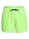 Quiksilver - Everyday Volley 15 Jam/Volley für Männer - Lime Punch - M