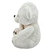 Imagen de BABYZOCO Osito de Peluche, Teddy Bear