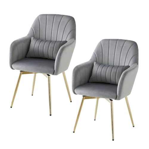 ASHEL ジェリス 回転 ダイニングチェア 【2脚セット】 ベロア 金脚 肘付き クッション付き チェア オフィスチェア 韓国 インテリア かわいい アシェル (2脚セット, グロスグレー)