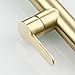 Tecmolog Brushed Gold Pot Filler Faucet Deck Mount Brass Single Handle Commercial Kitchen Mixer Tap with 2-Flow Aerator, BJ21227