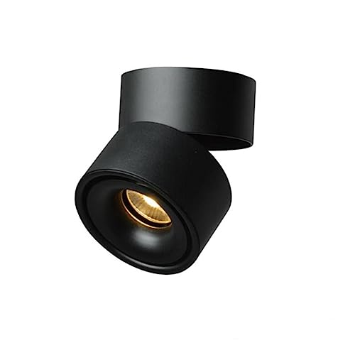 Spot encastré plafond réglable 10W 3000K rond pour éclairage de salon