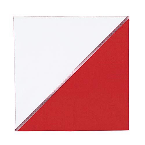 むす美 ハレ包み 風呂敷 50 片身替り アカ 20725-101