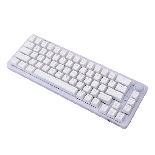 GK GAMAKAY LK67 65% RGB Silent Mechanical Keyboard with Knob, Triple Mode Bluetooth/USB-C Wired/2.4GHz Wireless 67 Keys Pudding PBT Keycaps Hot Swappable Gaming Keyboard (GamaKay Phoenix Switch)