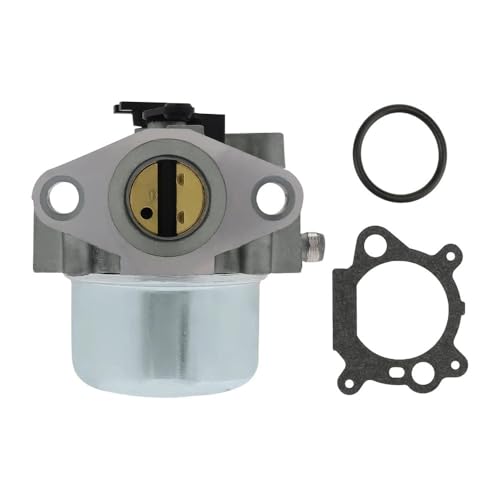 Carburateur pour Briggs & Stratton Craftsman 799871 799866 790845