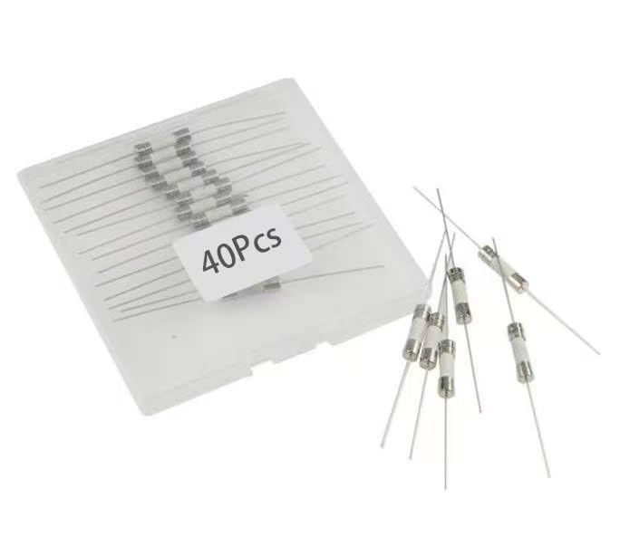 T30AL250V,30A, 30A Fuse,Slow-Blow Ceramic Lead Fuses, 5x20mm,30 amp 250 Volt,0.2X 0.78 Time-delay Fuse (40Pcs)