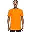 Mts296_orange Mts296_orange