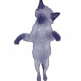  JIKO