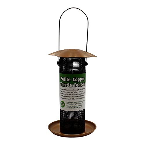 Songbird Essentials Finch Feeder, Petite Brushed Copper Finish Thistle Feeder For Wild Bird Feeding, Outdoor Garden Bird Feeder #TOP5