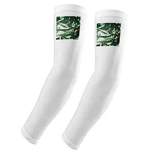 Funda para brazo con protección UV para ciclismo y jardinería de hojas verdes