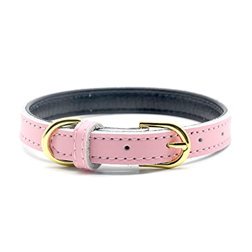 basic dog collars
