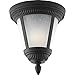 Progress Lighting P3883-31WB Lighting Accessory, Black