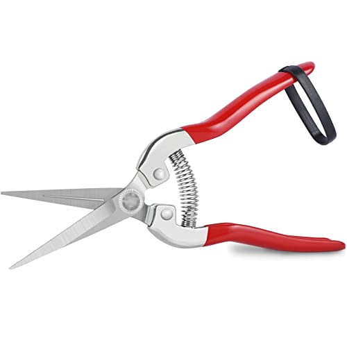 Professionall Pruning Scissors Stainless Steel Garden Secateurs & Pruning Scissors Small Multi-Purpose Pruning Shears for Plants Flowers Fruits Vegetables(7.87inch)