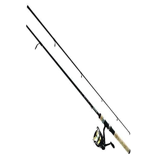 D-Shock DSK FW Spin PMC
