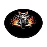 Zoom IMG-1 divertente gatto sphynx in sella Zoom IMG-1 divertente gatto sphynx in sella