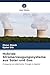 Produktbild Hybride Stromerzeugungssysteme aus Solar und Gas: Erzeugung von elektrischer Energie in Algerien