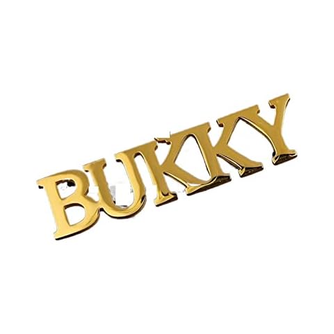QAVAN Customized Name Necklaces Pendants Compatible With Men Women Personalized Custom Gold 3mm Cuban Chain Stainless Steel Nameplate Jewelry (Size : Commonly, Color : 45CM_SILVER_COMMONLY) Cover