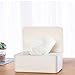 Tissue Storage Box Case Wet Wipes Dispenser Holder with Lid for Home Office