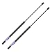 Rear Window Glass Lift Supports Struts Shocks Gas Springs 4644 fit for Isuzu Rodeo 1991-2004,fit for Passport 1994-2005, PM2013, SG326011, Pack of 2