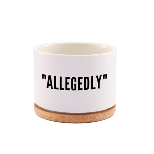 Loovelo Allegedly Lawyer Gifts Ceramic Succulent Plant Pot with Bamboo